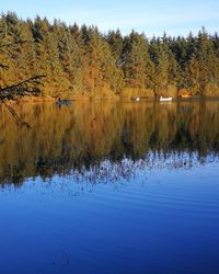 Scenic view of lake by trees against sky