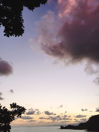 Low angle view of silhouette trees against sky at sunset