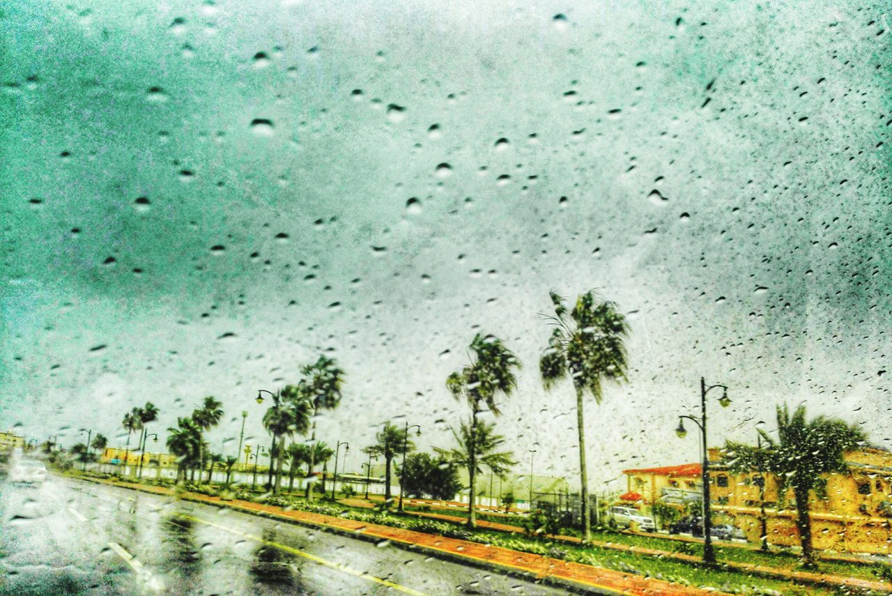 wet, rain, drop, water, weather, window, glass - material, transparent, sky, transportation, tree, car, season, road, raindrop, land vehicle, street, mode of transport, nature, cloud - sky