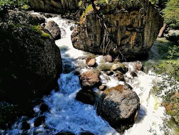 River flowing through forest