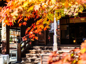 View of trees outside building