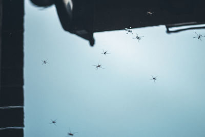 Low angle view of airplane flying in sky