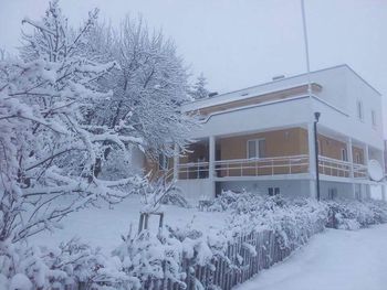 Snow covered bare trees against house