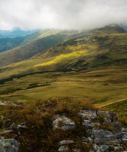 Scenic view of landscape against sky