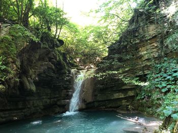 Scenic view of waterfall in forest