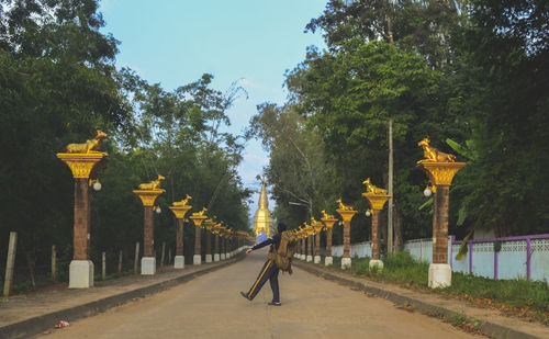 Man walking on road amidst trees against sky
