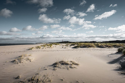 Scenic view of beach against sky