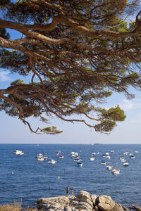 Scenic view of sea and trees against sky
