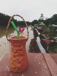 Close-up of pink potted plant against trees