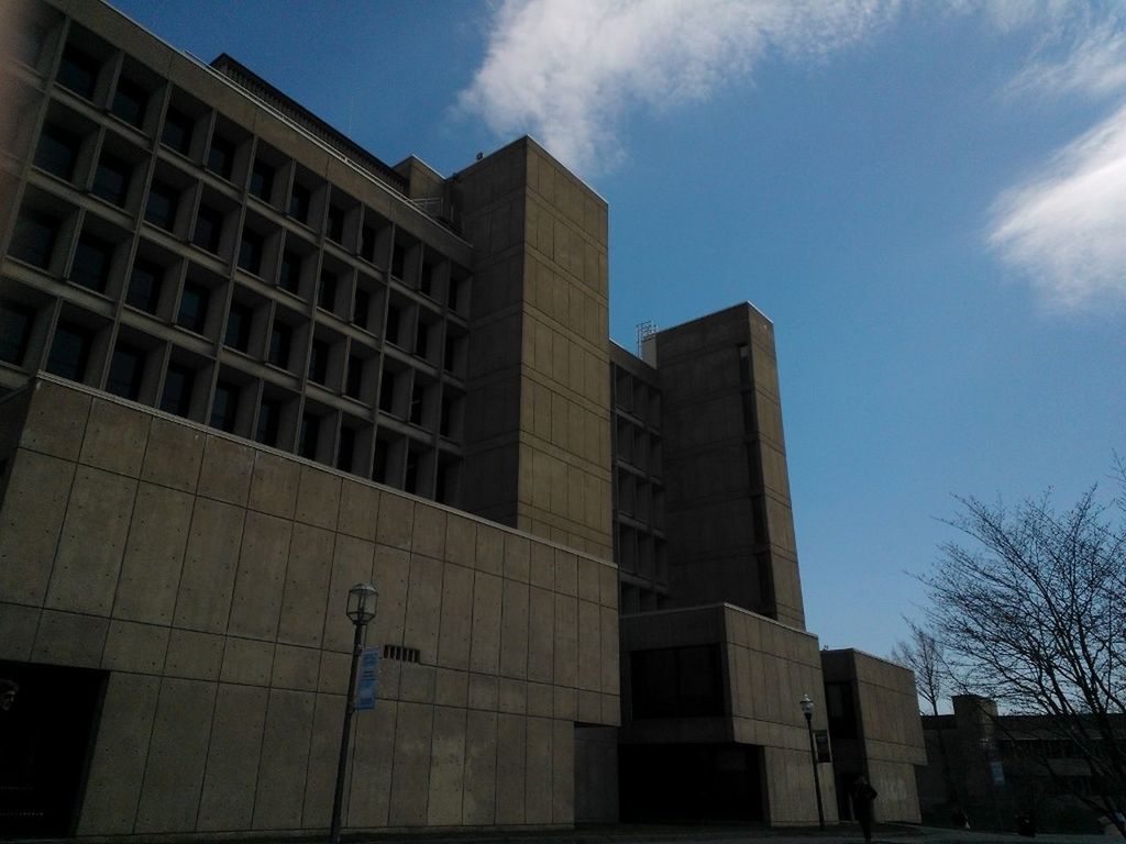 architecture, building exterior, built structure, low angle view, sky, building, blue, window, city, sunlight, outdoors, tree, cloud - sky, day, no people, cloud, residential building, bare tree, old, residential structure