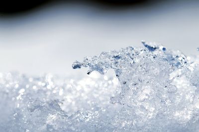 Close-up of frozen ice