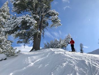 Rear view of person on snowcapped mountain against sky
