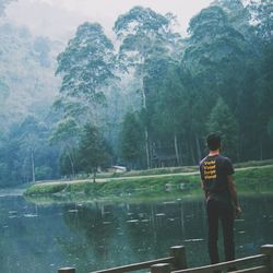 Rear view of man standing on pier at lake in forest