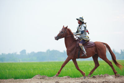 Horse riding horses on a field