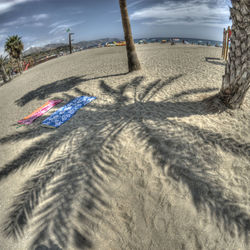 Shadow of tree on sand at beach against sky