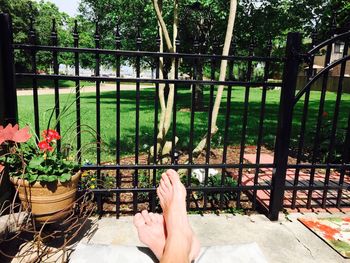 Low section of woman relaxing on tree