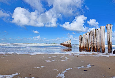 Scenic view of beach against blue sky