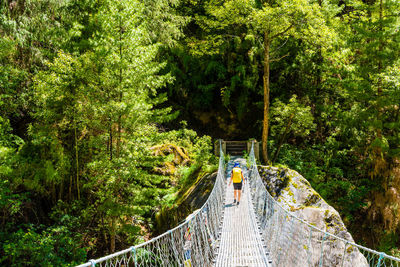Footbridge amidst trees in forest