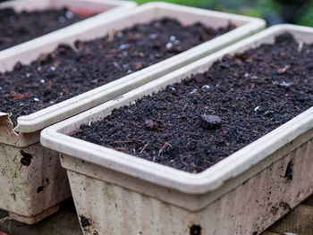 High angle view of soil in box