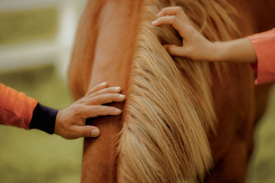 Midsection of woman holding hands