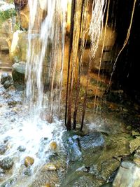 View of waterfall in forest