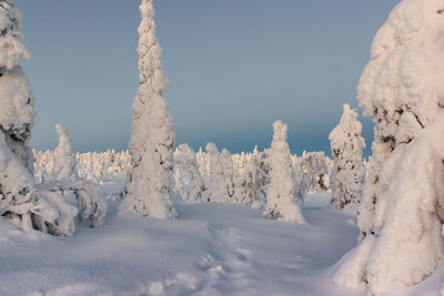 Snow covered landscape against clear blue sky