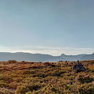 Scenic view of landscape against sky