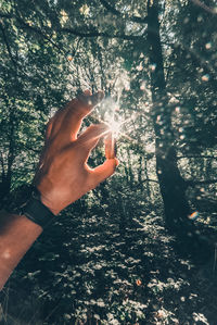 Close-up of hand holding ice cream in forest