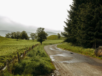 Country road going through pastures in scotland