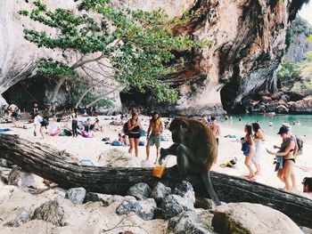 Group of people on rock against trees