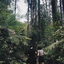 Rear view of people on road amidst trees in forest