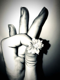 Close-up of woman holding flower over white background