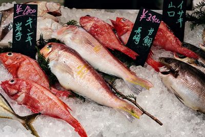 Fish for sale at market stall