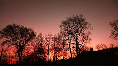 Low angle view of silhouette trees against clear sky