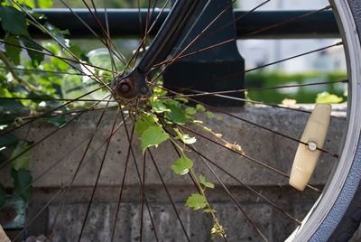 Close-up of broken metal fence