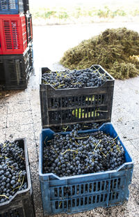 High angle view of fruits in crate