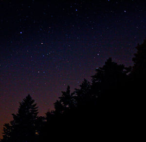 Low angle view of silhouette trees against sky at night
