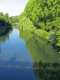 Scenic view of river in forest against sky