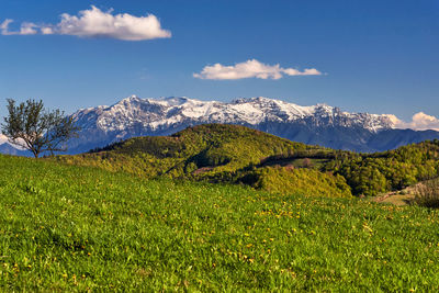 A photo taken in holbav, brasov.