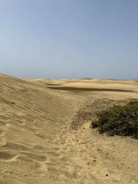 natural environment