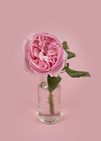 Close-up of drink in glass on table