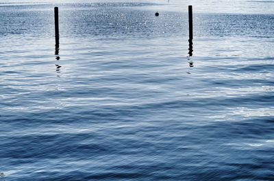 Wooden posts in sea