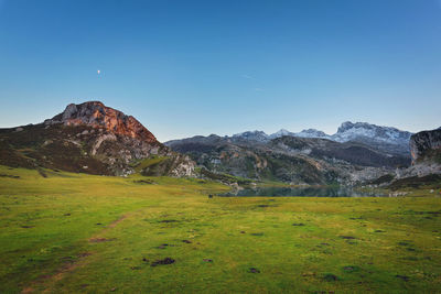 Scenic view of field against clear blue sky