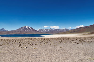 Scenic view of desert against clear blue sky