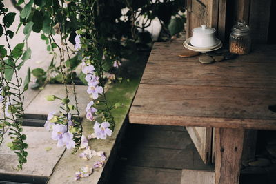 High angle view of potted plants on table