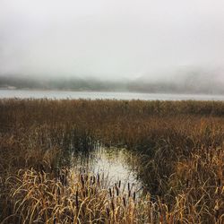 Scenic view of landscape against sky