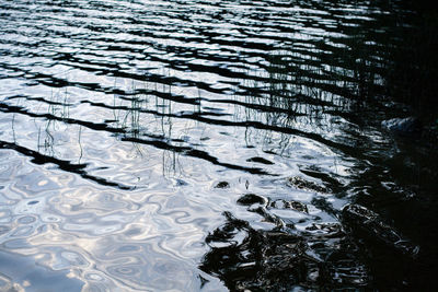 High angle view of swimming in lake