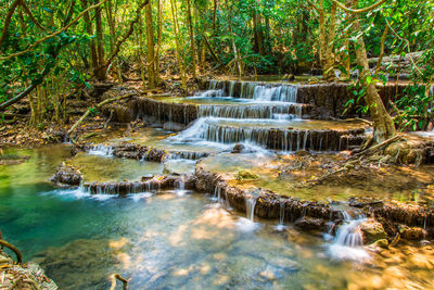 Scenic view of waterfall in forest