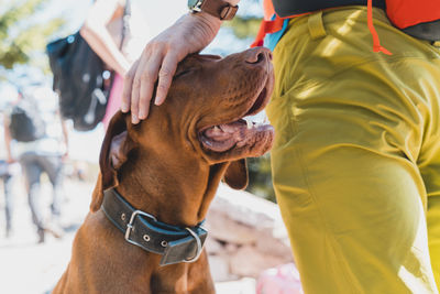 Midsection of man with dog