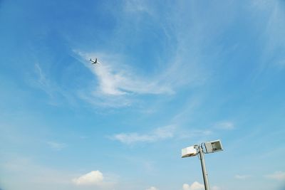 Low angle view of bird flying against blue sky